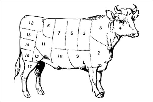 Plan d’abattage du veau de lait et du bœuf de pâturage